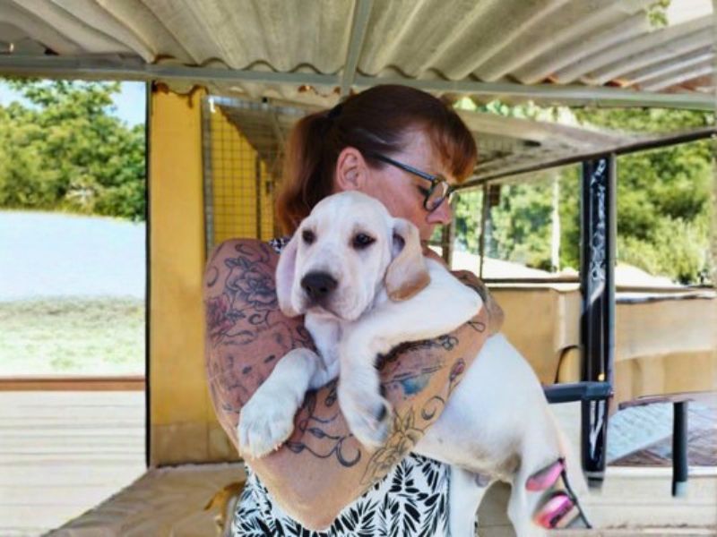 Buddy – Tierschutzhund aus Spanien