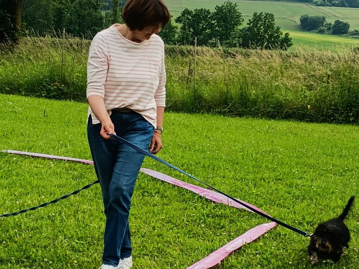 Einzeltraining: Hundetrainerin arbeitet mit Hund an der Leine