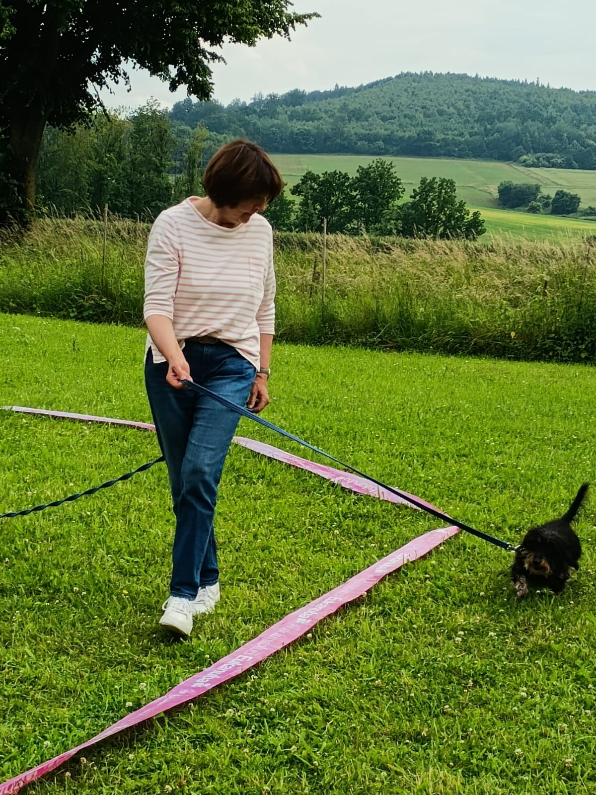 Einzeltraining: Hundetrainerin arbeitet mit Hund an der Leine