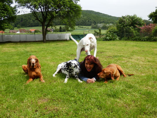 Gaby Zimmer mit ihren Hunden